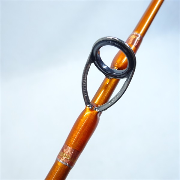 ２９キャスティズム１８－３４５Ｒ